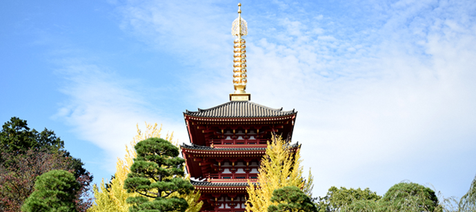 写真：高幡不動尊の五重塔