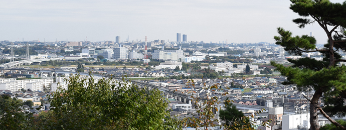 写真：展望台から見た日野市