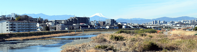 写真：ふれあい橋から見た富士山の風景