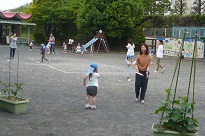 写真：外でも飛ぶかな