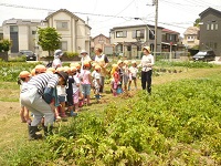 せせらぎ農園の写真