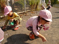 写真：2歳児うさぎ組が散歩でドングリ拾いをしているところ