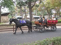 写真：馬車