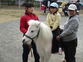 5歳児が馬に乗っている様子