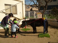 3歳児こあら組が餌をあげている様子