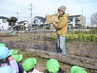 菌ちゃん紙芝居を読んでもらっているところ