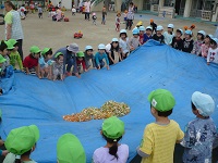 ちぎった野菜をひとまとめにした写真