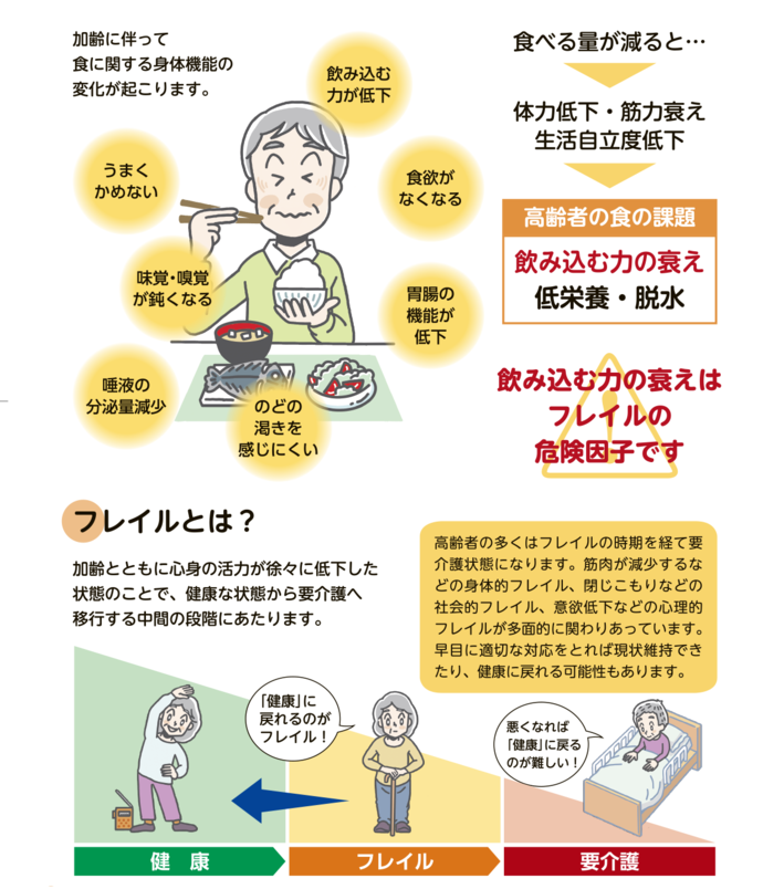 加齢に伴って食に関する身体機能の変化が起こります。飲み込む力が低下、うまくかめない、食欲がなくなる、胃腸の機能が低下、味覚・嗅覚が鈍くなる、唾液の分泌量減少、のどの渇きを感じにくい、食べる量が減ると…、体力低下・筋力衰え、生活自立度低下、高齢者の食の課題、飲み込む力の衰え、低栄養・脱水、飲み込む力の衰えはフレイルの危険因子です、フレイルとは？加齢とともに心身の活力が徐々に低下した状態のことで、健康な状態から要介護へ移行する中間の段階にあたります。高齢者の多くはフレイルの時期を経て要介護状態になります。筋肉が減少するなどの身体的フレイル、閉じこもりなどの社会的フレイル、意欲低下などの心理的フレイルが多面的に関わりあっています。早目に適切な対応をとれば現状維持できたり、健康に戻れる可能性もあります。「健康」に戻れるのがフレイル！悪くなれば「健康」に戻るのが難しい！