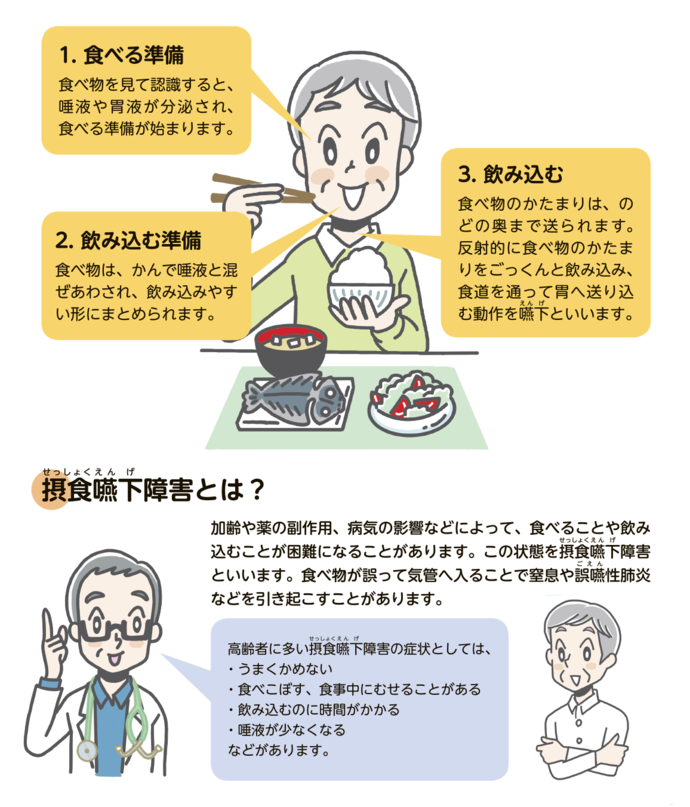 1. 食べる準備、食べ物を見て認識すると、唾液や胃液が分泌され、食べる準備が始まります。2. 飲み込む準備、食べ物は、かんで唾液と混ぜあわされ、飲み込みやすい形にまとめられます。3. 飲み込む、食べ物のかたまりは、のどの奥まで送られます。反射的に食べ物のかたまりをごっくんと飲み込み、食道を通って胃へ送り込む動作を嚥下といいます。摂食嚥下障害とは？加齢や薬の副作用、病気の影響などによって、食べることや飲み込むことが困難になることがあります。この状態を摂食嚥下障害といいます。食べ物が誤って気管へ入ることで窒息や誤嚥性肺炎などを引き起こすことがあります。高齢者に多い摂食嚥下障害の症状としては、・うまくかめない、・食べこぼす、食事中にむせることがある、・飲み込むのに時間がかかる、・唾液が少なくなるなどがあります。