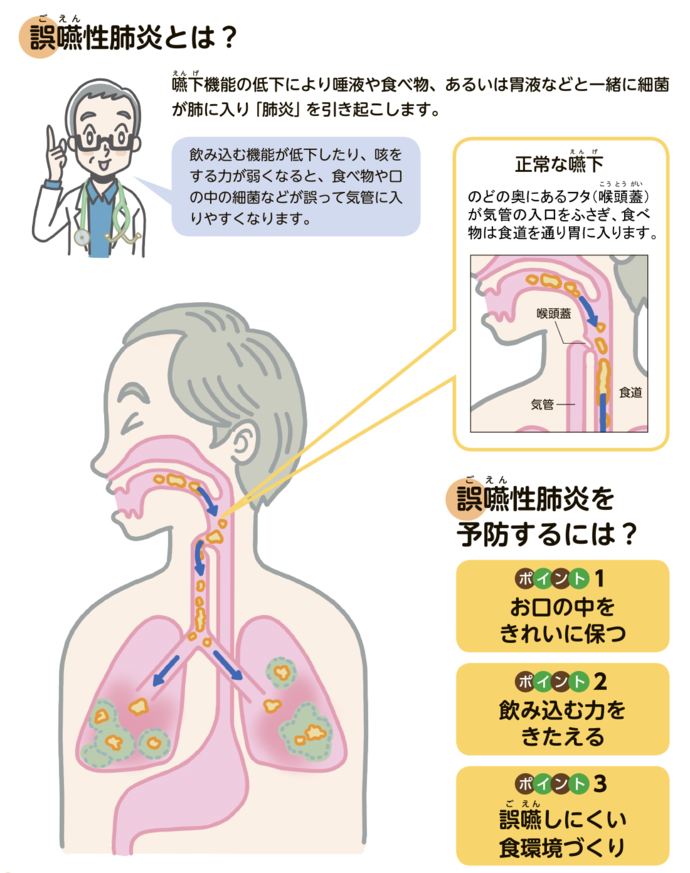 食べること飲み込むこと 知識編 日野市公式ホームページ