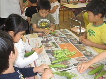 写真：5歳児