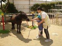 2歳児うさぎ組がリトルホースに餌をあげている写真