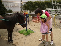 4歳児ぞう組がリトルホースに餌をあげている写真