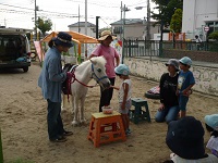 5歳児らいおん組がリトルホースに餌をあげている写真