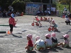 写真：運動会2歳児親子競技