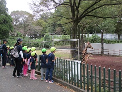 子どもたちがキリンを見ている写真