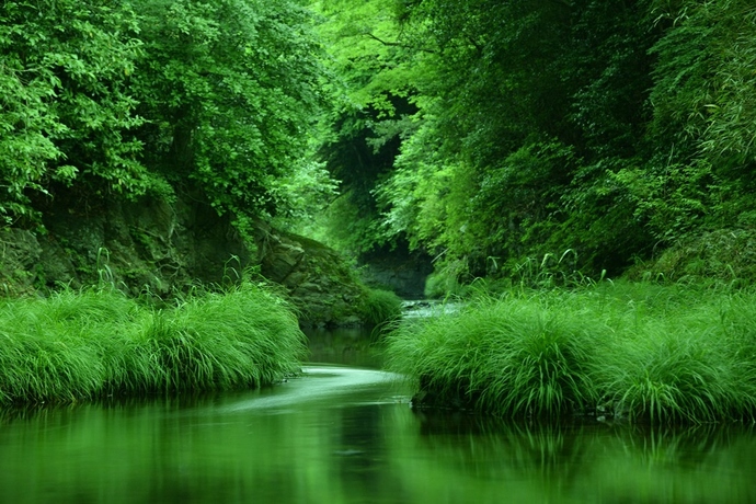 写真：川村登作品