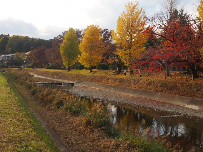 写真：最優秀賞