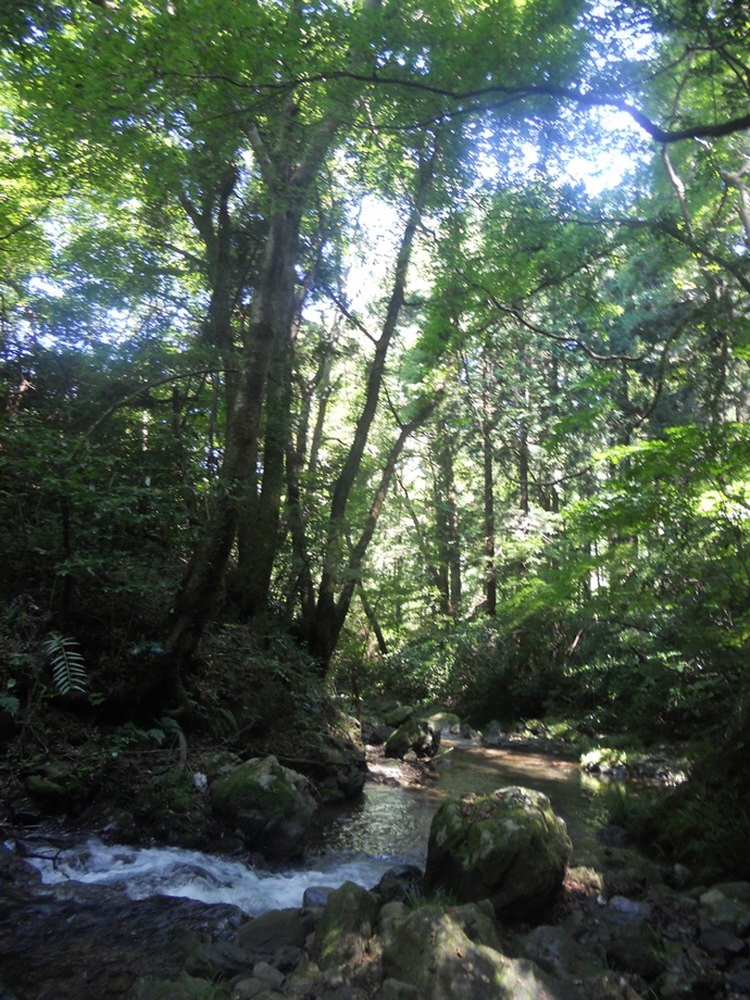 写真：増島　美愛作品