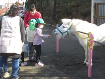 写真：馬に草をあげている