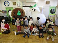 ぱんだぐみの集合した写真