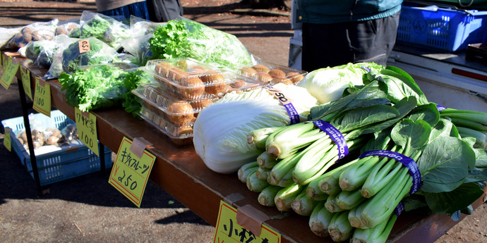 写真：日野市農産物