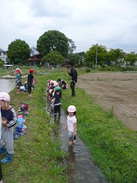 用水路で足を洗っている写真