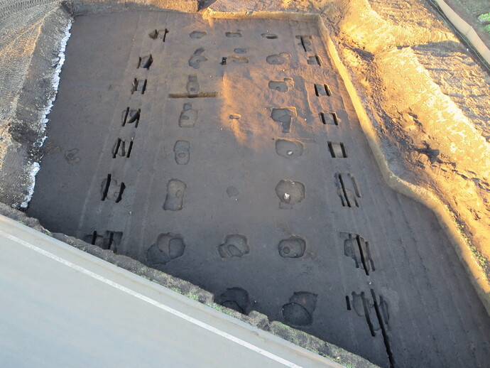 写真：平山遺跡検出の大型四面廂建物跡