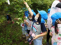 写真：大きいの見つけた