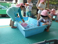 2歳水遊びの写真1