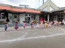 写真：5歳児の荒馬