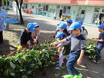 写真：5歳児らいおん組の芋ほりの様子