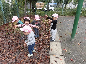 1歳児（りす組）が落ち葉に触って遊んでいる写真