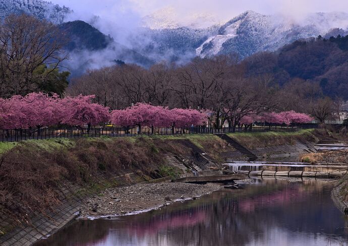 春の気配