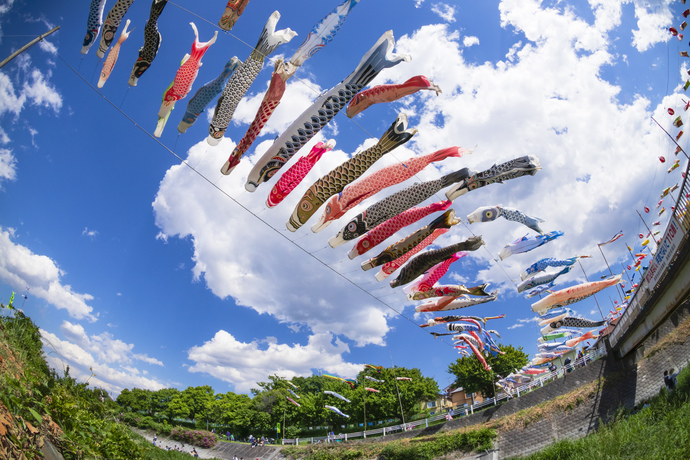 大空に舞う