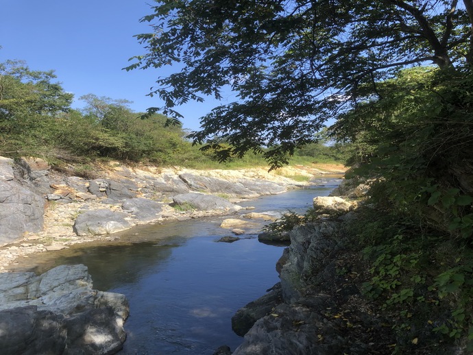 夏の思い出