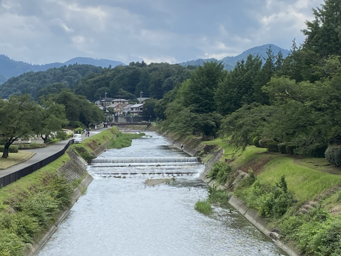 夏休みの南浅川