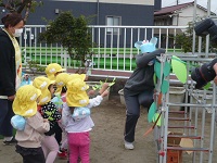 2歳児うさぎ組がコアラにユーカリをあげている写真