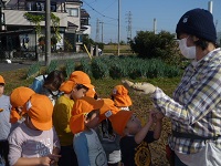 4歳児ぞう組がせせらぎ農園の人から大豆の話を聞いている写真