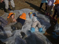 4歳児ぞう組がせせらぎ農園で草のベッドに寝転がる体験をしている写真