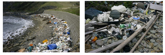 海岸に漂着したプラスチックごみの画像