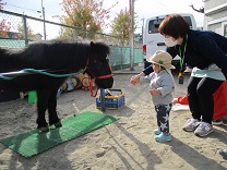 写真：0歳ひよこ組の干し草やり