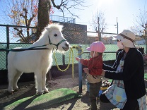 写真：2歳児うさぎ組の干し草やり