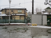 写真：雪