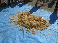 ちぎった野菜くずを米ぬかで作ったぼかしと混ぜた写真