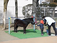 先生と一緒にえさをあげる写真