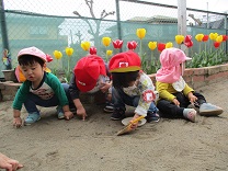 写真：虫探し？