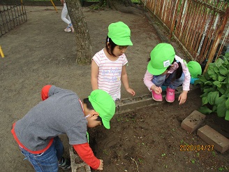 園庭で遊んでいる様子の写真