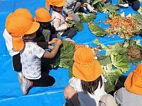 野菜くずをちぎる子どもの写真