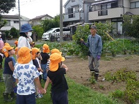 5歳児らいおん組がせせらぎ農園の方の話を聞いている写真